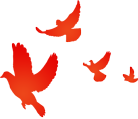 640.png